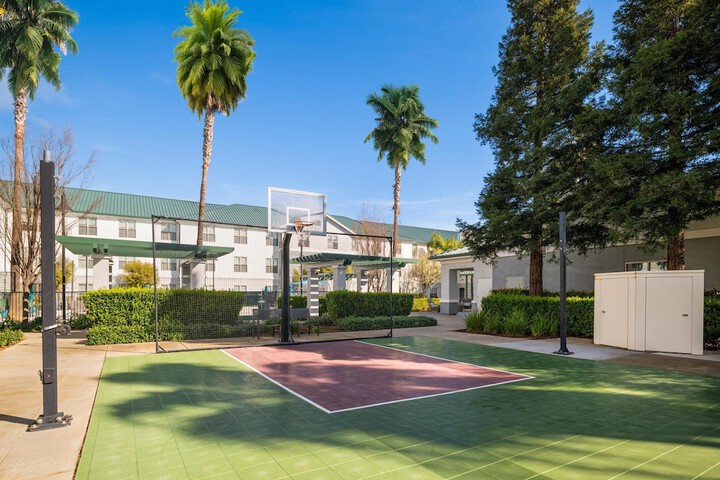 Sport court