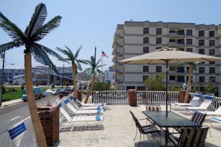 Terrace or Patio