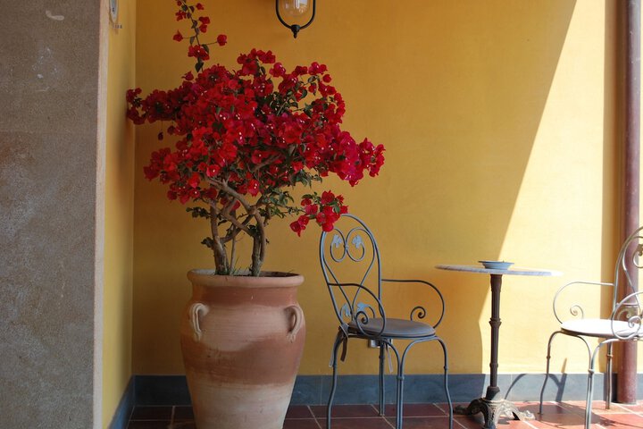 Terrace/Patio 24 of 31