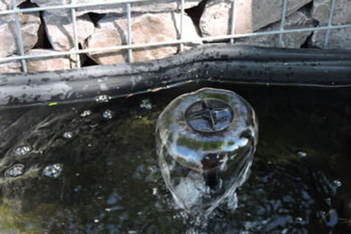 Fountain