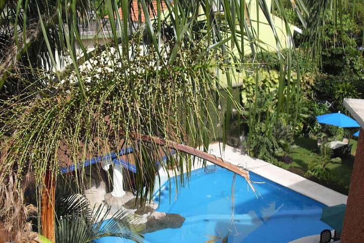 Hotel Pool