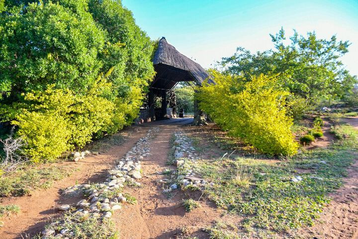 Explore Sand River Lodge in Maasai Mara