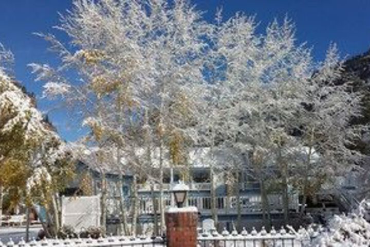 Property Grounds 52 of 55