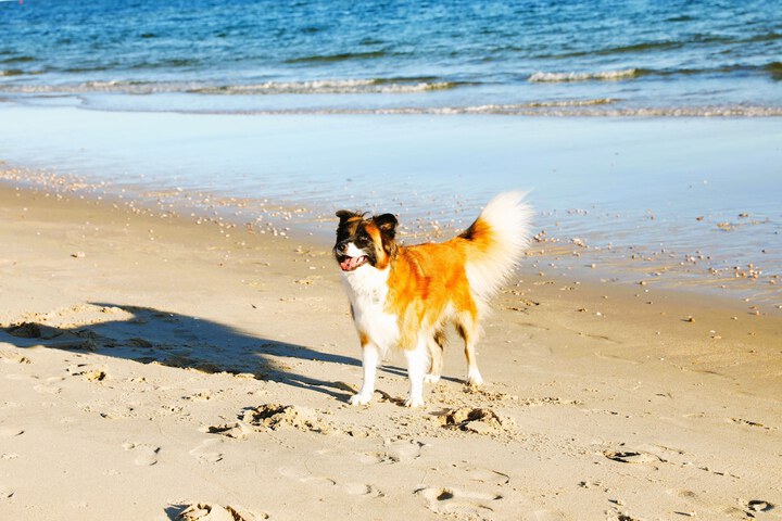 Beach 181 of 230