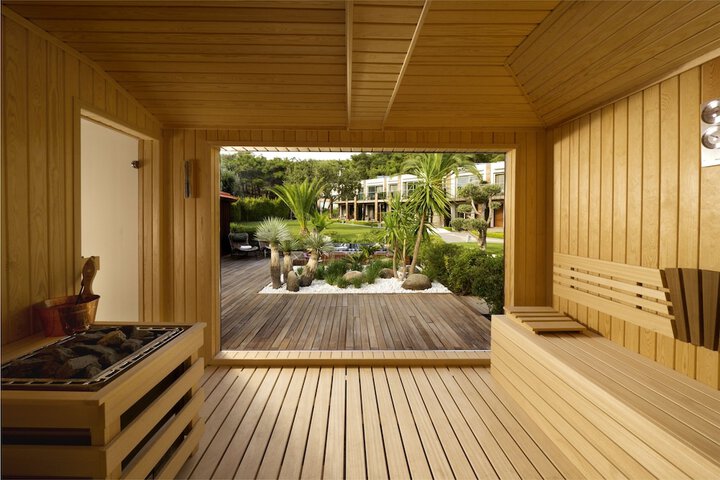 Wellness Treatments