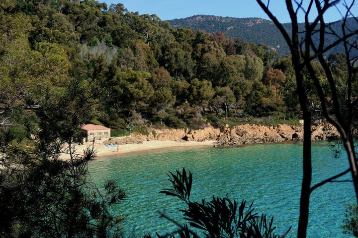 Beach 53 of 63