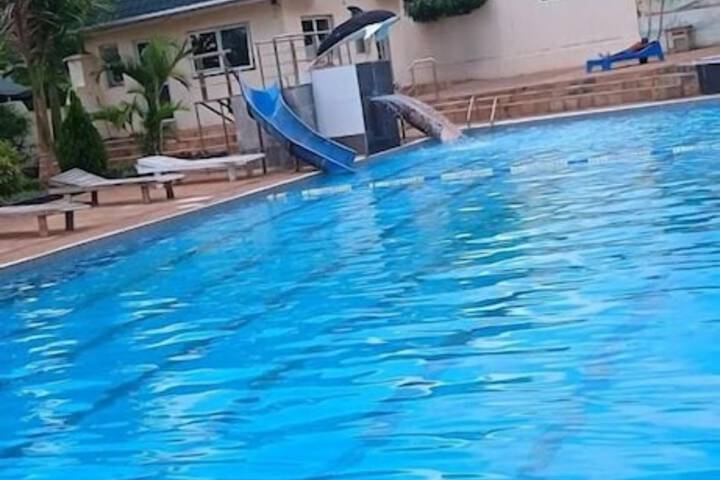 Pool 21 of 53