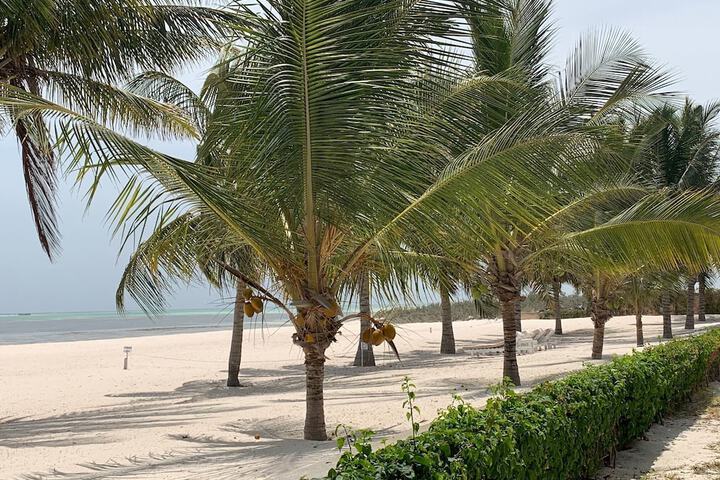 Beach 102 of 138