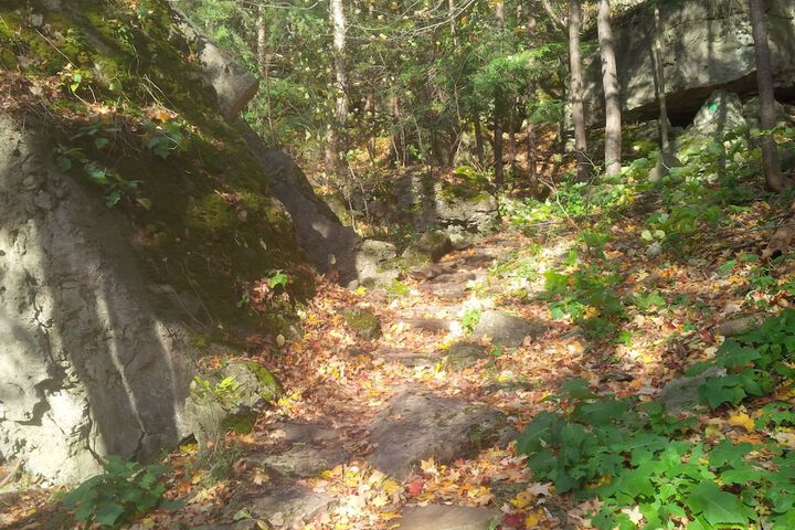 Hiking