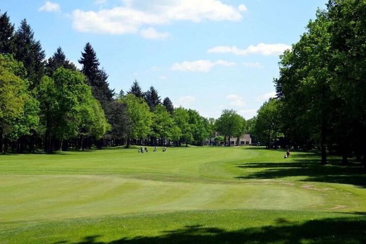 Golf 15 of 47