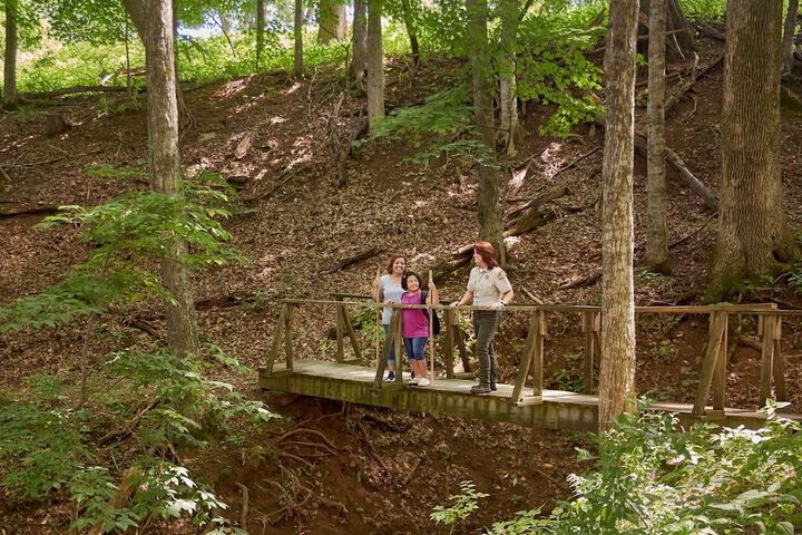 Outdoor Activities 51 of 74