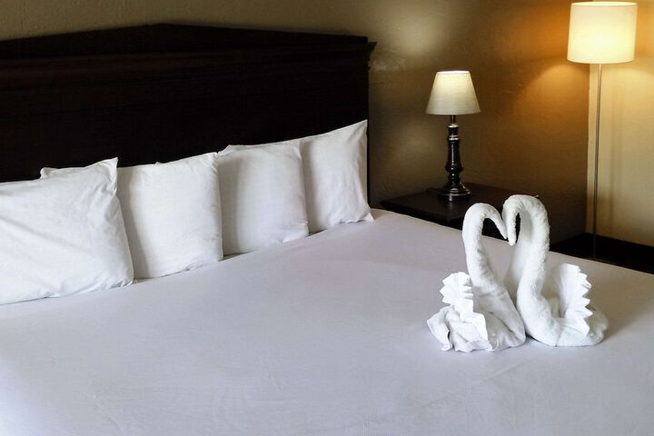 1 King Bed (7 of 8)