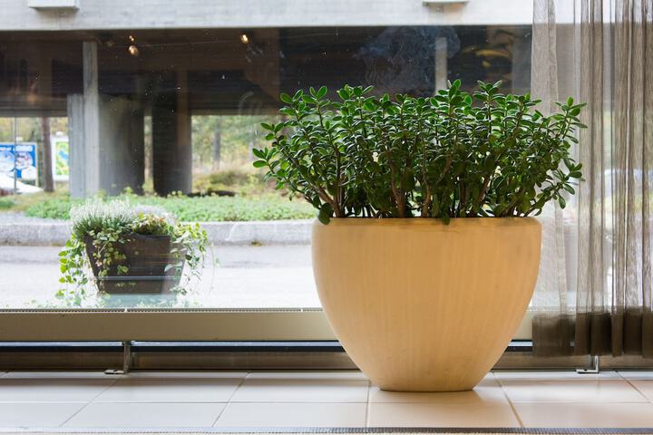 Lobby Photos