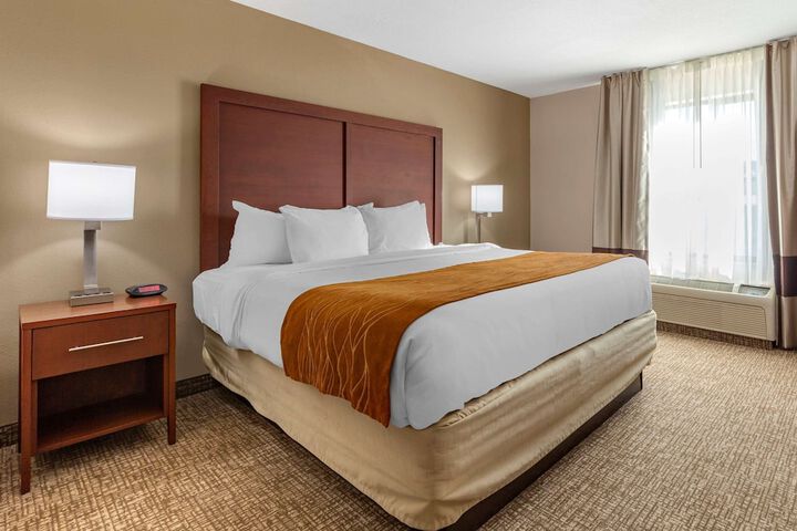Suite King Bed Accessible (3 of 8)