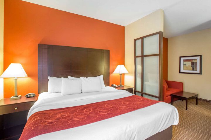 1 King Bed Suite (6 of 11)