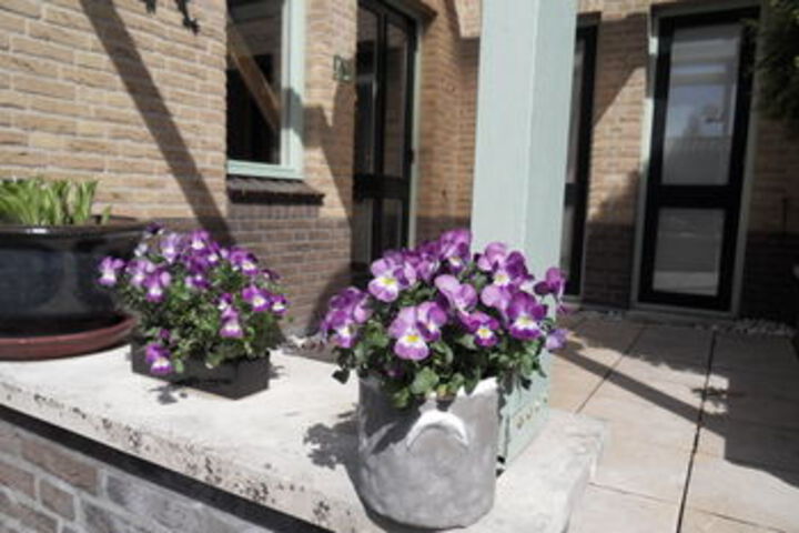 Terrace/Patio 53 of 58