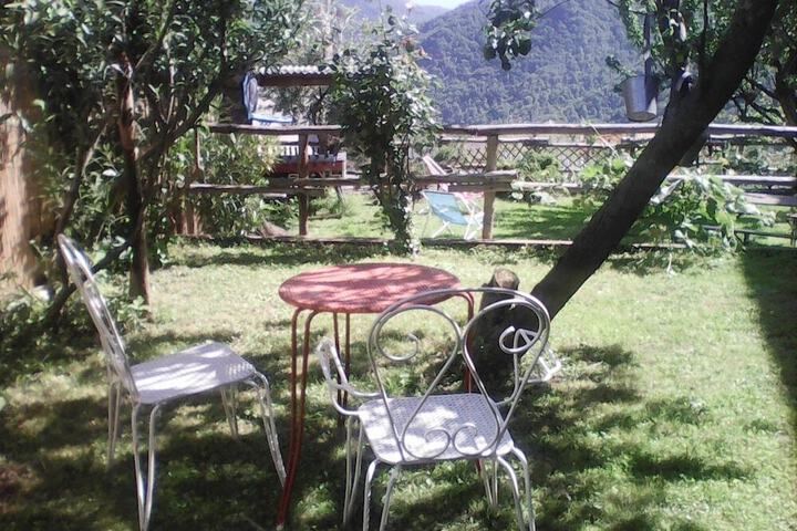 Photo 15
