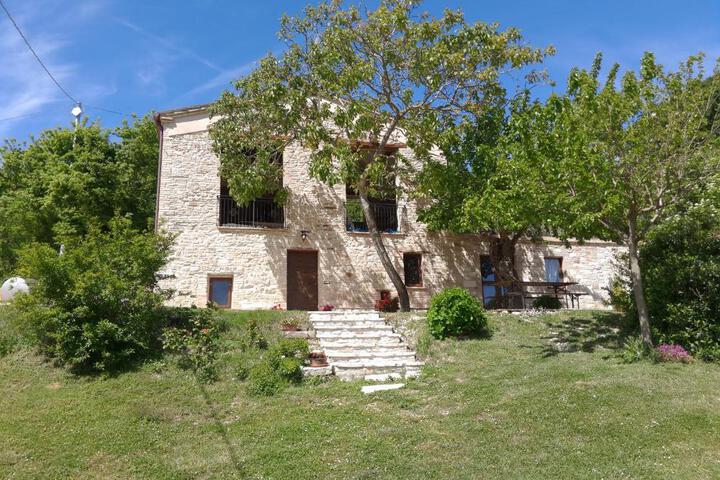 Photo 14