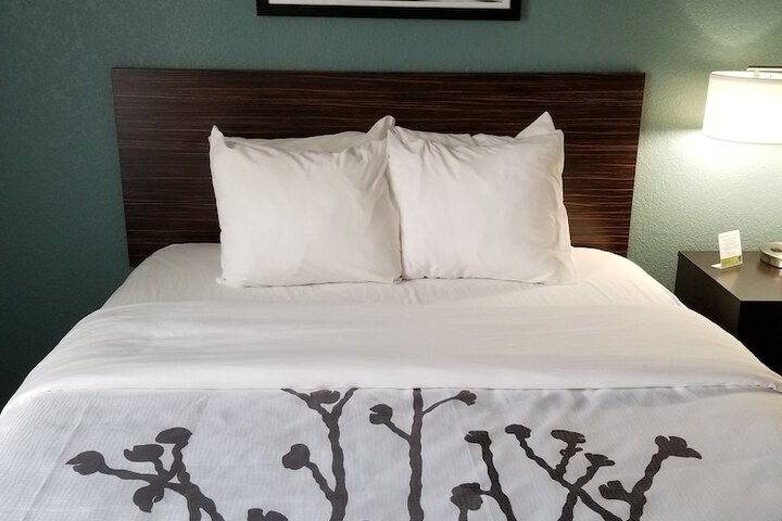 1 King Bed Mobility Accessible (9 of 29)
