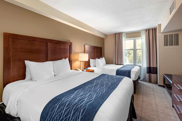 Standard Room, King or Two Doubles (3 of 4)