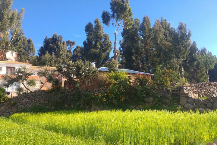 Property Grounds 26 of 41