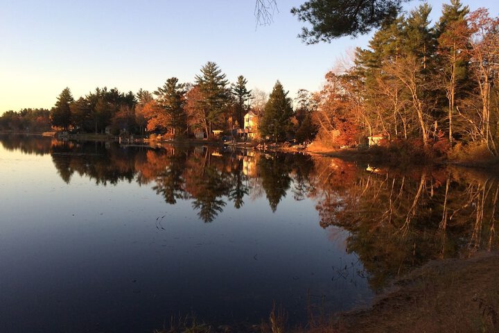 Property Grounds 29 of 50