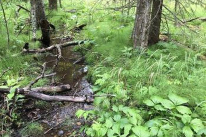 Property Grounds 56 of 67