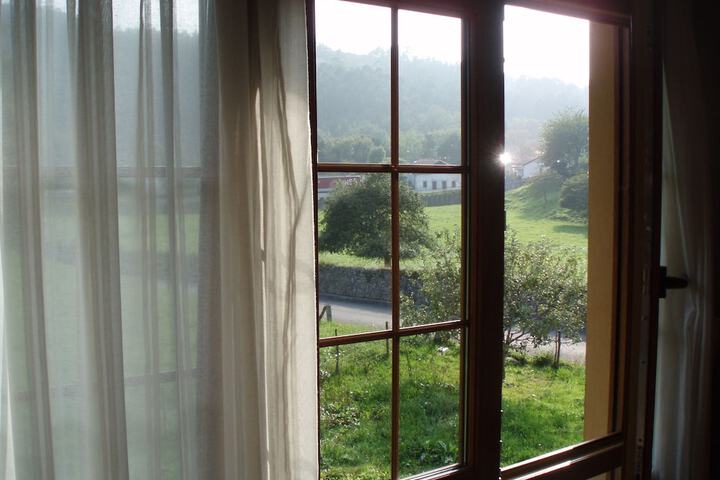 View from room