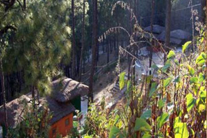 Chestnut Grove Himalayan Lodge