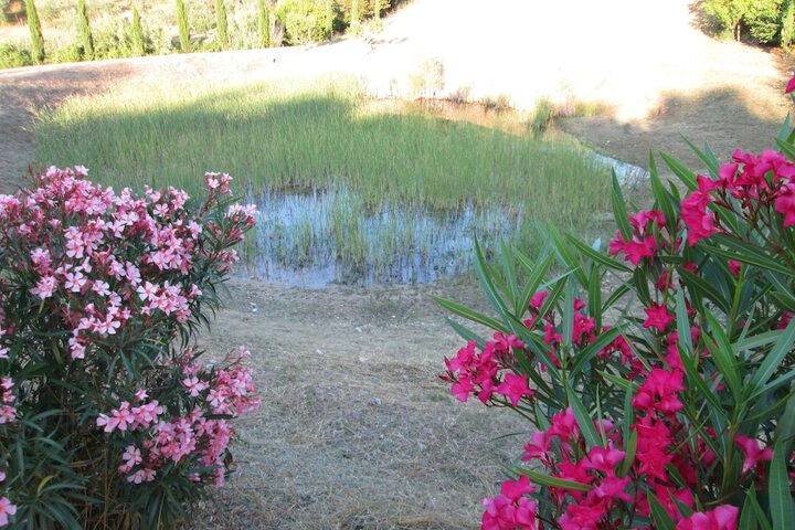 Property Grounds 20 of 38