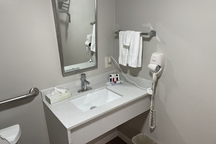 1 King Bed Accessible (36 of 39)