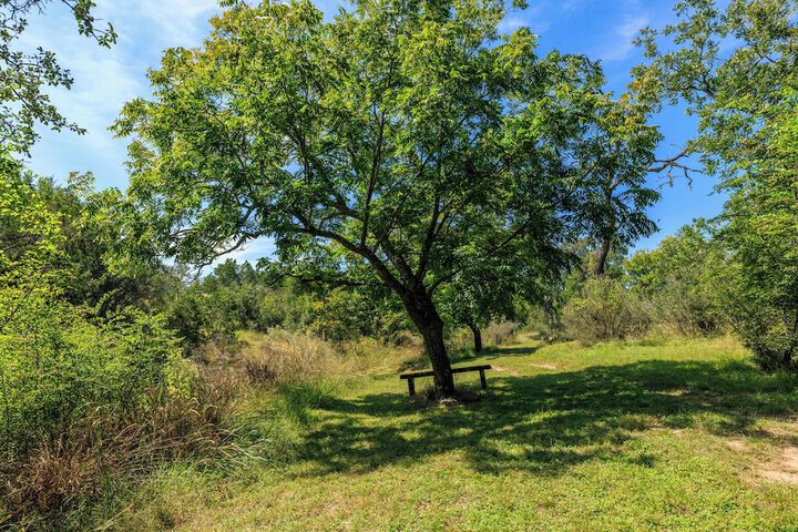 Property Grounds 164 of 201