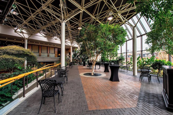 Terrace/Patio 71 of 75