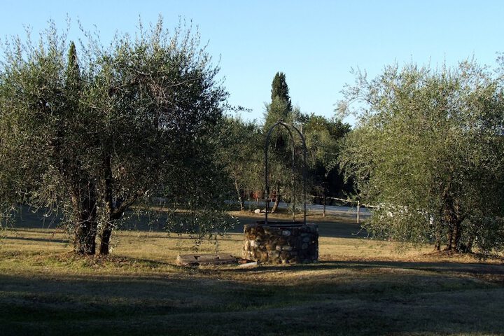 Property Grounds 19 of 35