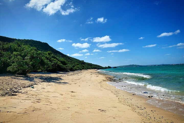 Beach 136 of 152