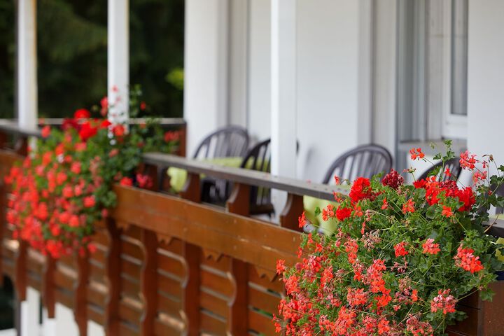Terrace/Patio 22 of 60
