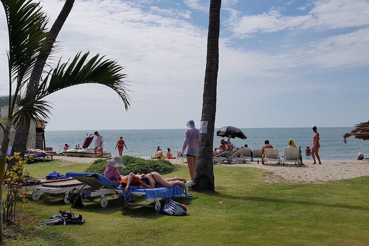 Beach 102 of 131
