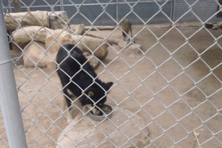 Childrens Activities 39 of 145