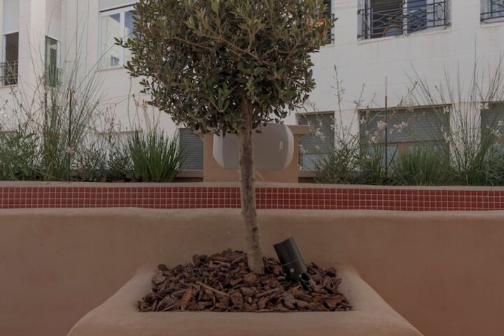 Terrace/Patio 74 of 77