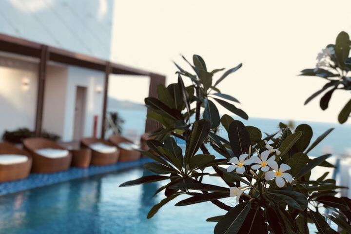 Pool 87 of 203