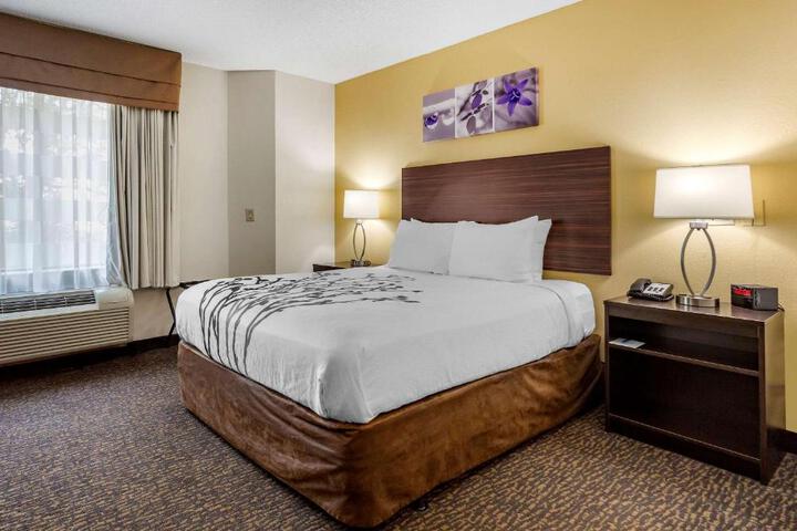 1 King Bed (8 of 11)