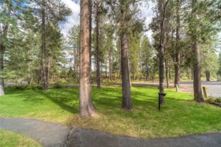 Property Grounds 8 of 15