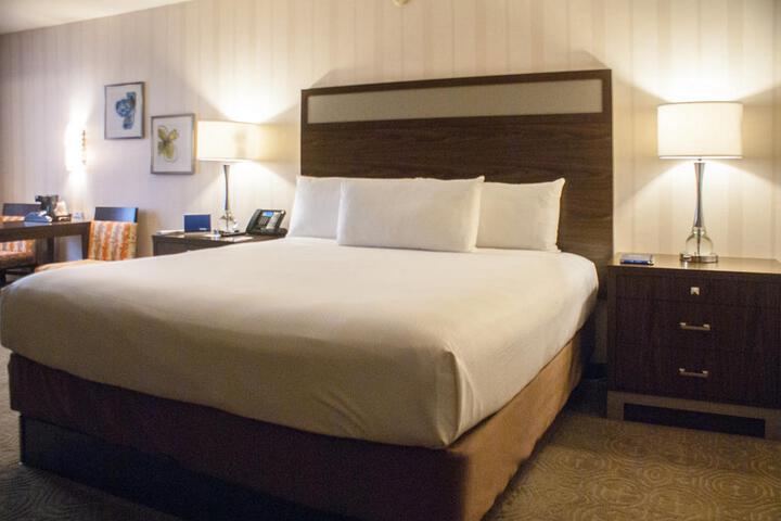 Deluxe King Bed (4 of 13)