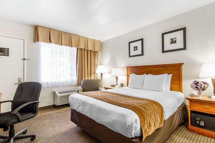 1 King Bed (7 of 14)
