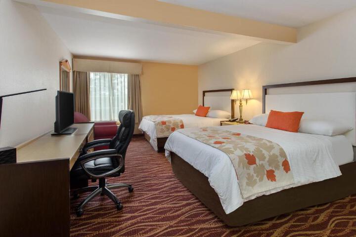 2 Queen Beds (8 of 11)