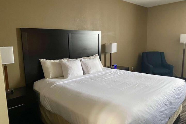 1 King Bed (4 of 8)