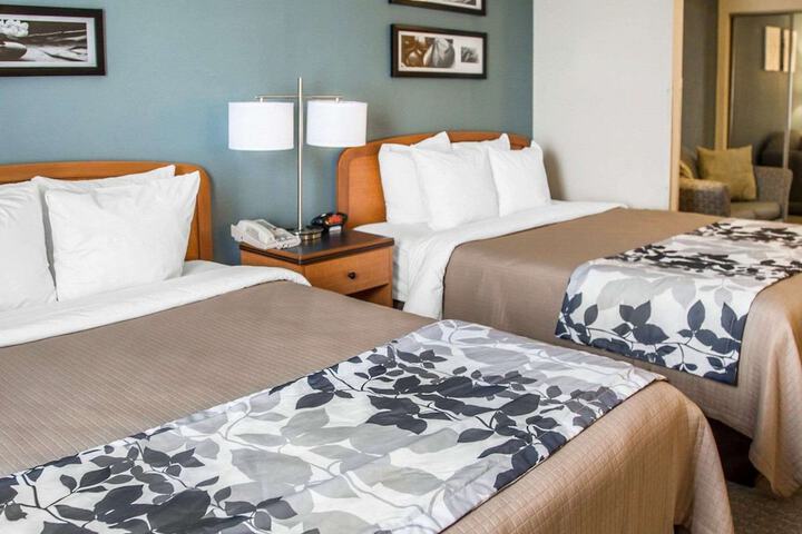 2 Queen Beds (6 of 13)
