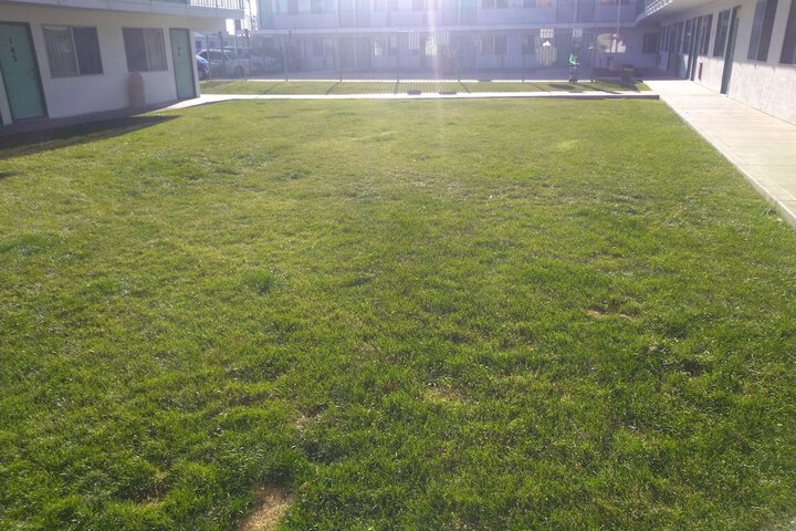 Property Grounds 38 of 43