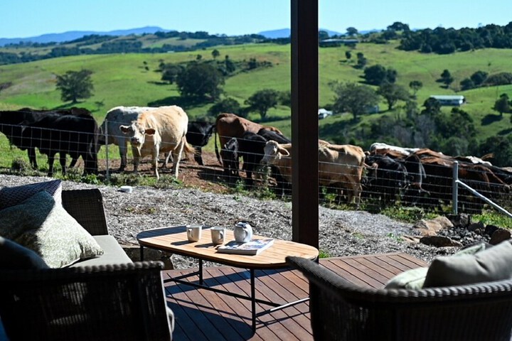 Terrace/Patio 12 of 24