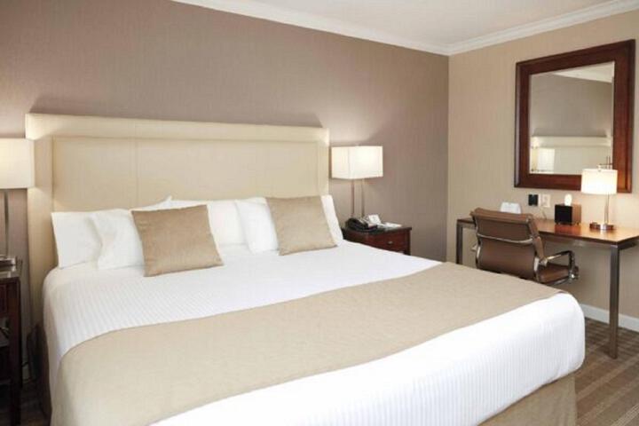 Standard King Bed Accessible (8 of 14)